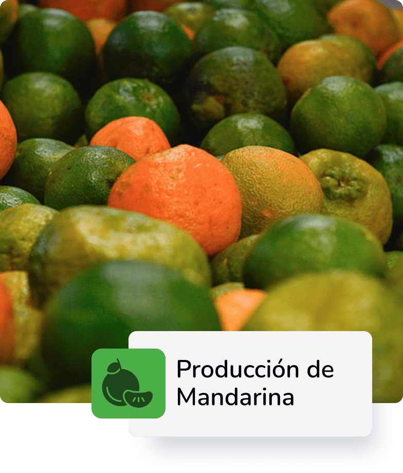Descripción 3