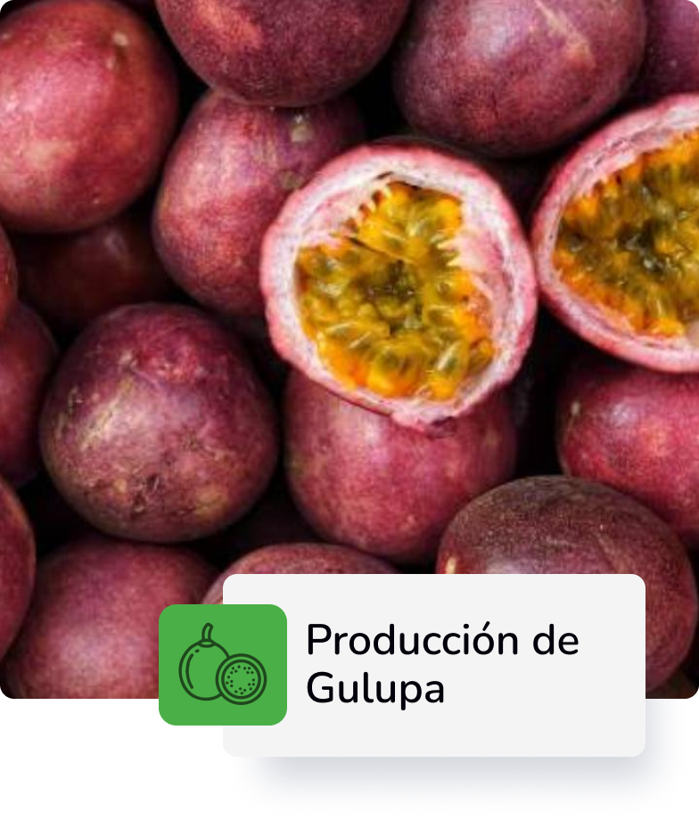 Descripción 3