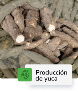 Descripción 2