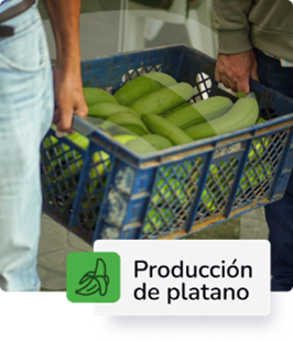 Descripción 3