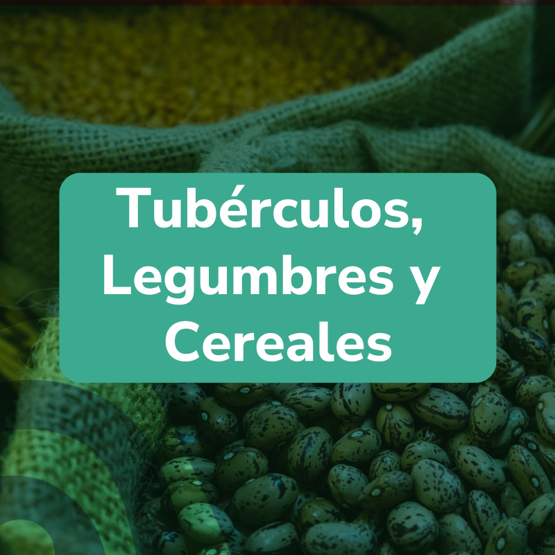 Descripción 3