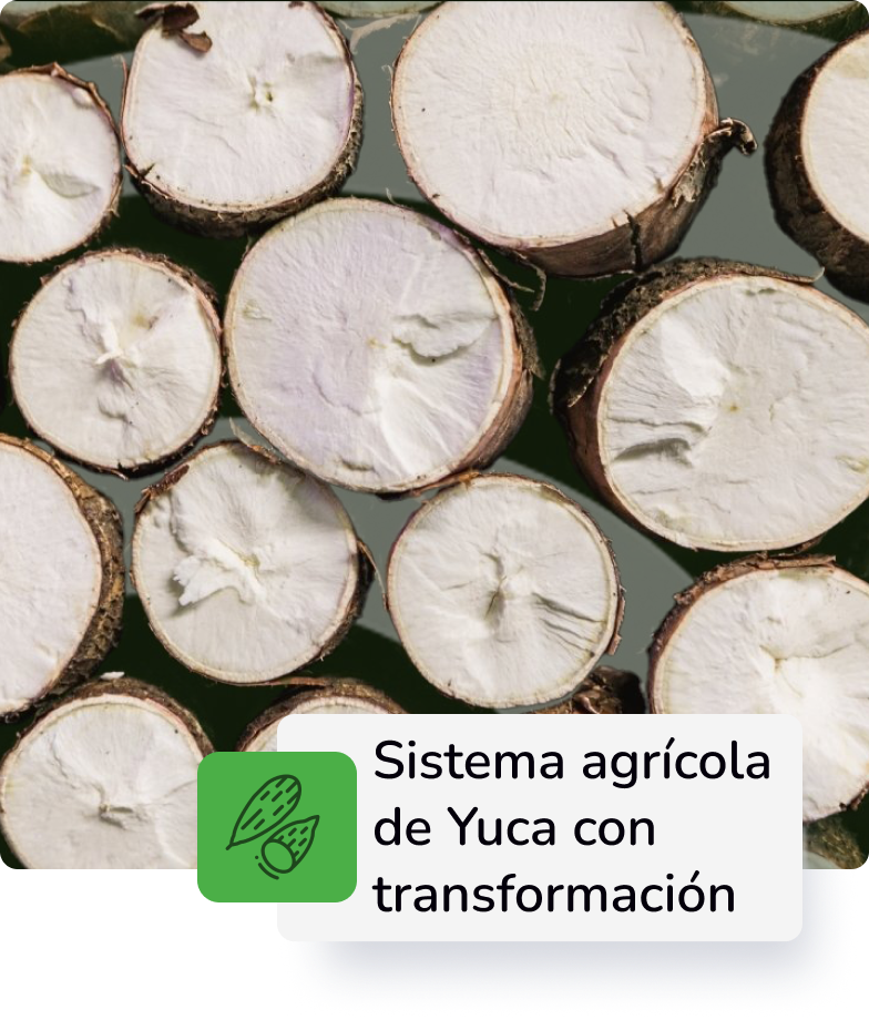 Descripción 1