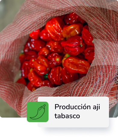 Descripción 3
