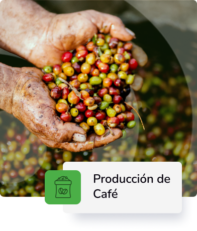 Descripción 3