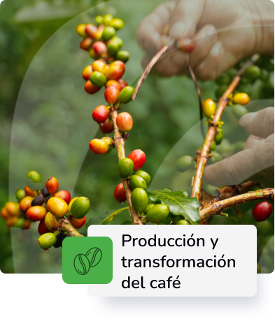 Descripción 2