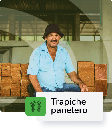 Descripción 3