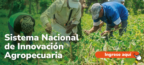 Sistema Nacional de Innovación Agropecuaria