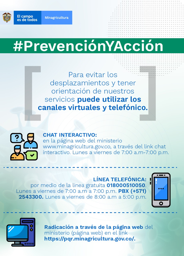 Prevención y Acción