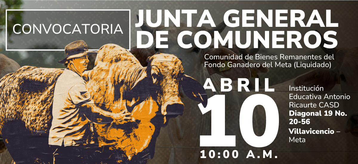Banner-Junta Comuneros