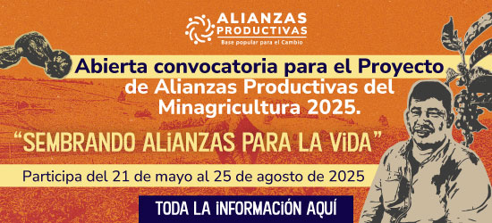 Banner-web-alianzas_3.jpg
