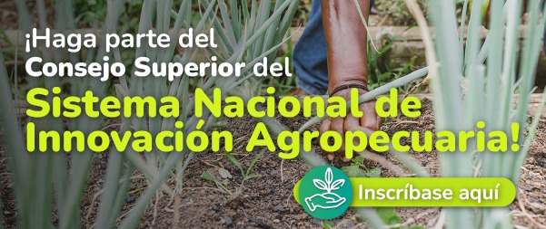 Inscripción SNIA