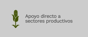 Apoyo directo a sectores productivos