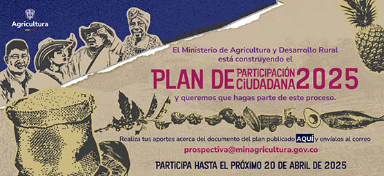plan-de-participacion-ciudadana-banner-web copia.jpg
