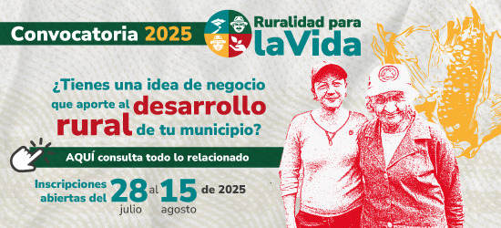 banner micrositio.jpg