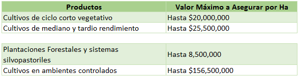 valores_maximos_asegurar_hectarea.png