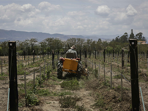 Desarrollo rural