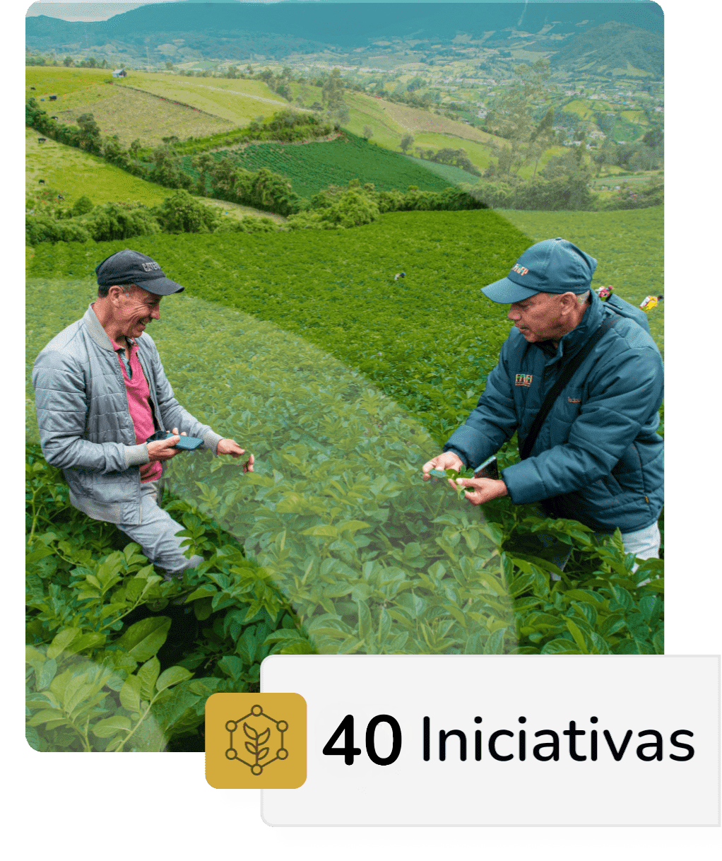 Icono de 40 iniciativas