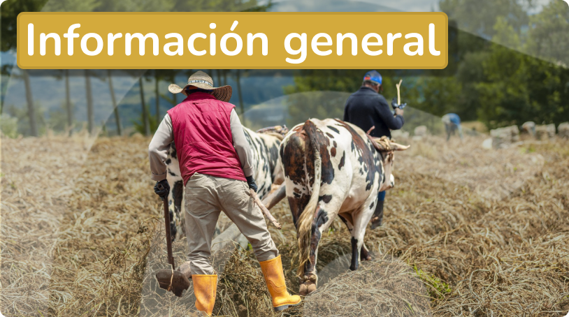 Icono de Información General