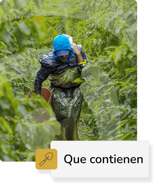Icono de que contienen