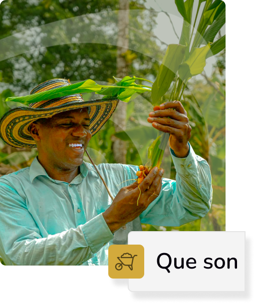 Icono de que son?