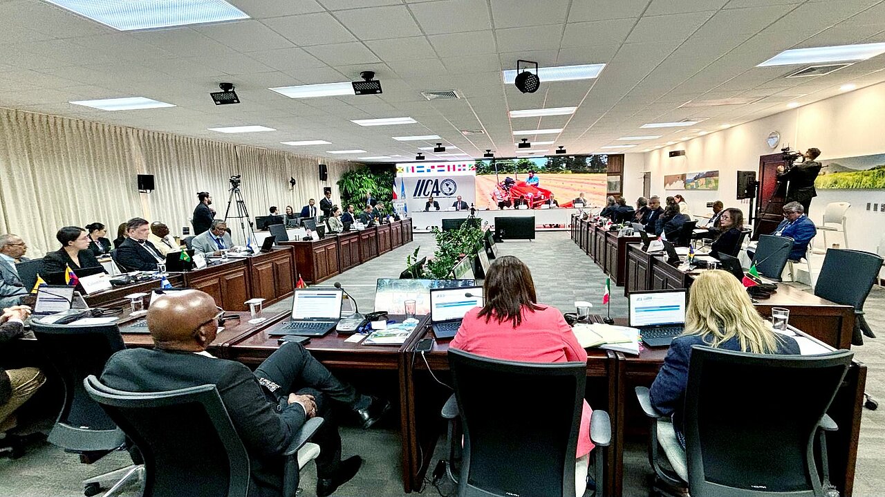 Imagen de los participantes en el comité del IICA