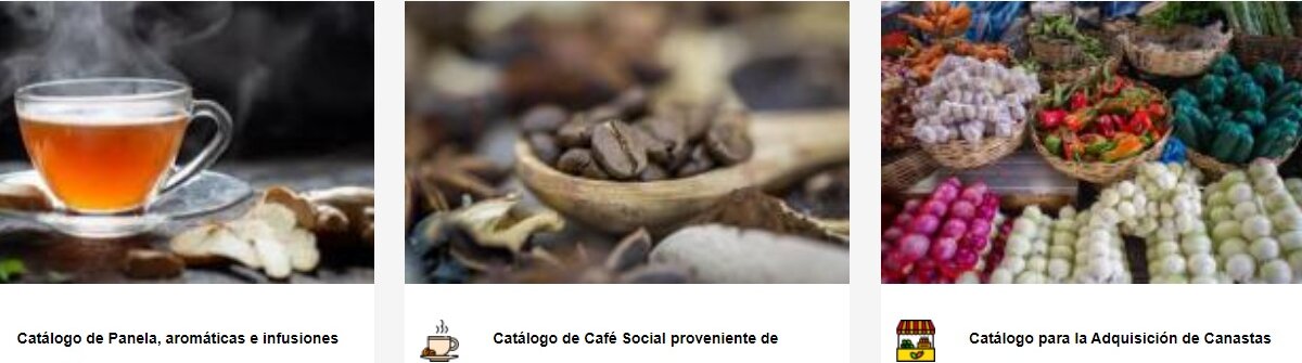la imagen parece ser un catálogo digital con tres secciones, cada una con un producto o categoría diferente.