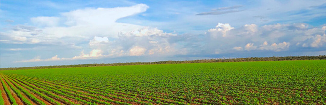 se puede aprecian un campo trabajado, es un muy lindo paisaje