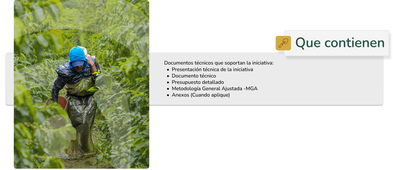imagen explicativa de que contienen las iniciativas
