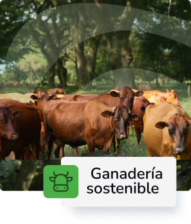 Ganadería Sostenible