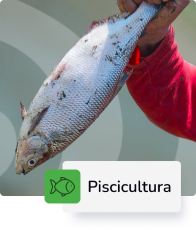 Pscicultura
