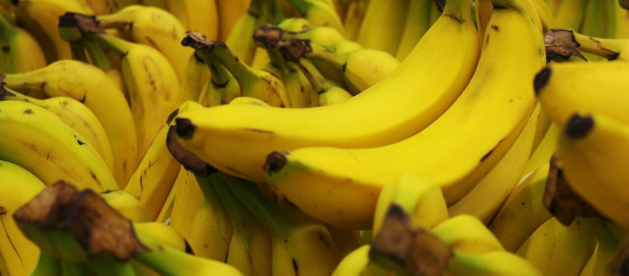 La imagen muestra una gran pila de plátanos maduros, muchos de ellos amarillos y listos para comer. Los plátanos están colocados en distintas posiciones, creando un conjunto visualmente atractivo. Algunos están colocados unos encima de otros, mientras que otros están esparcidos por el montón. Los plátanos están en diferentes estados de madurez, algunos parecen más amarillos y otros aún tienen un toque verde. La escena muestra la abundancia y frescura de los plátanos, lo que la convierte en una atractiva imagen para quienes disfrutan de esta popular fruta.