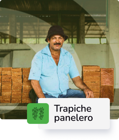 Trapiche Panelero