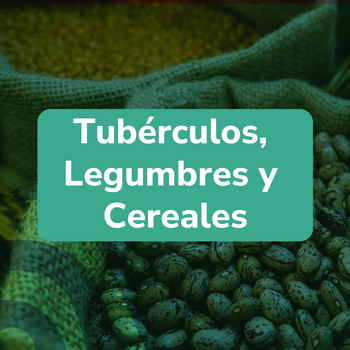 Tuberculos