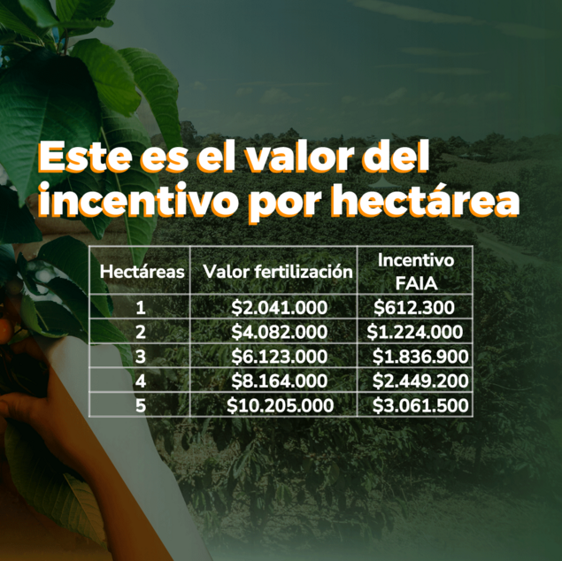 La imagen muestra una tabla que proporciona información sobre el valor del incentivo por hectárea para la fertilización. La tabla está en español y se divide en cuatro columnas:  Hectáreas: Indica el número de hectáreas. Valor fertilización: Muestra el valor de la fertilización en dólares. Incentivo FHA: Indica el incentivo que se ofrece por hectárea en dólares. La tabla muestra cinco niveles de incentivo, aumentando en valor a medida que aumenta el número de hectáreas:  Para 1 hectárea, el incentivo es de $612.300. Para 2 hectáreas, el incentivo es de $1.224.000. Para 3 hectáreas, el incentivo es de $1.836.900. Para 4 hectáreas, el incentivo es de $2.449.200. Para 5 hectáreas, el incentivo es de $3.061.500. La imagen también muestra una imagen de una plantación de árboles, lo que sugiere que la información se refiere a la agricultura o la ganadería.