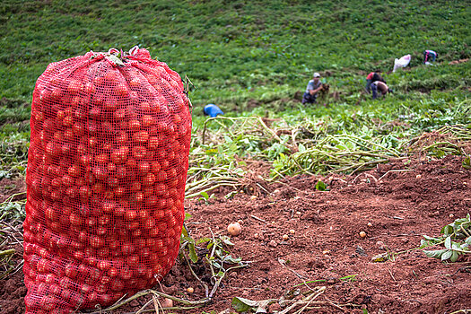 pequeños productores