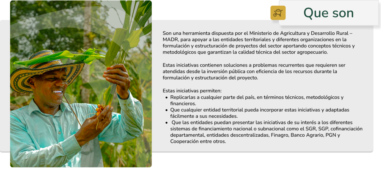 descripción de que son las iniciativas