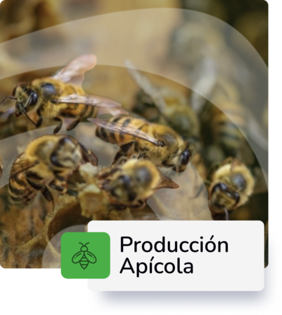Establecimiento de Sistemas