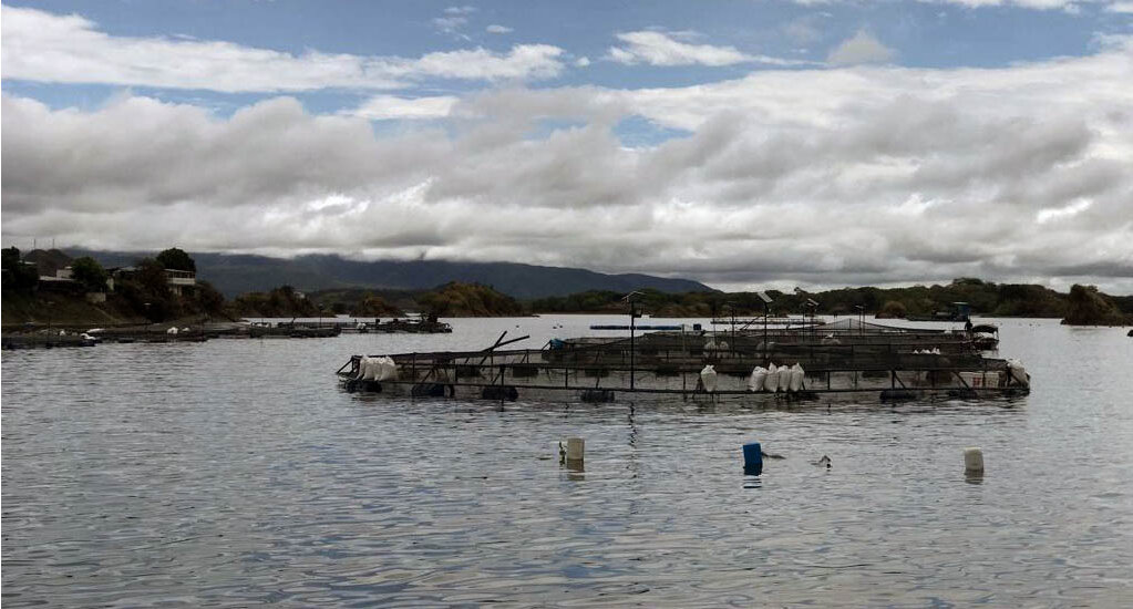 El Gobierno Nacional atiende la situación por el bajo nivel en la represa Betania, en el departamento del Huila.