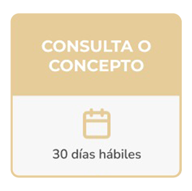 Consulta o concepto — 30 días hábiles