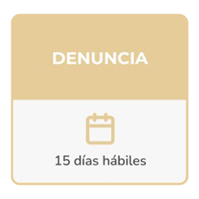 Denuncia — 15 días hábiles
