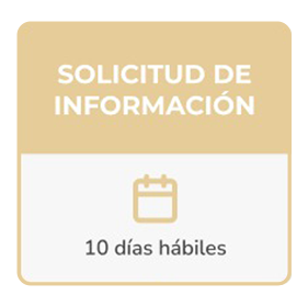 Solicitud de información — 10 días hábiles