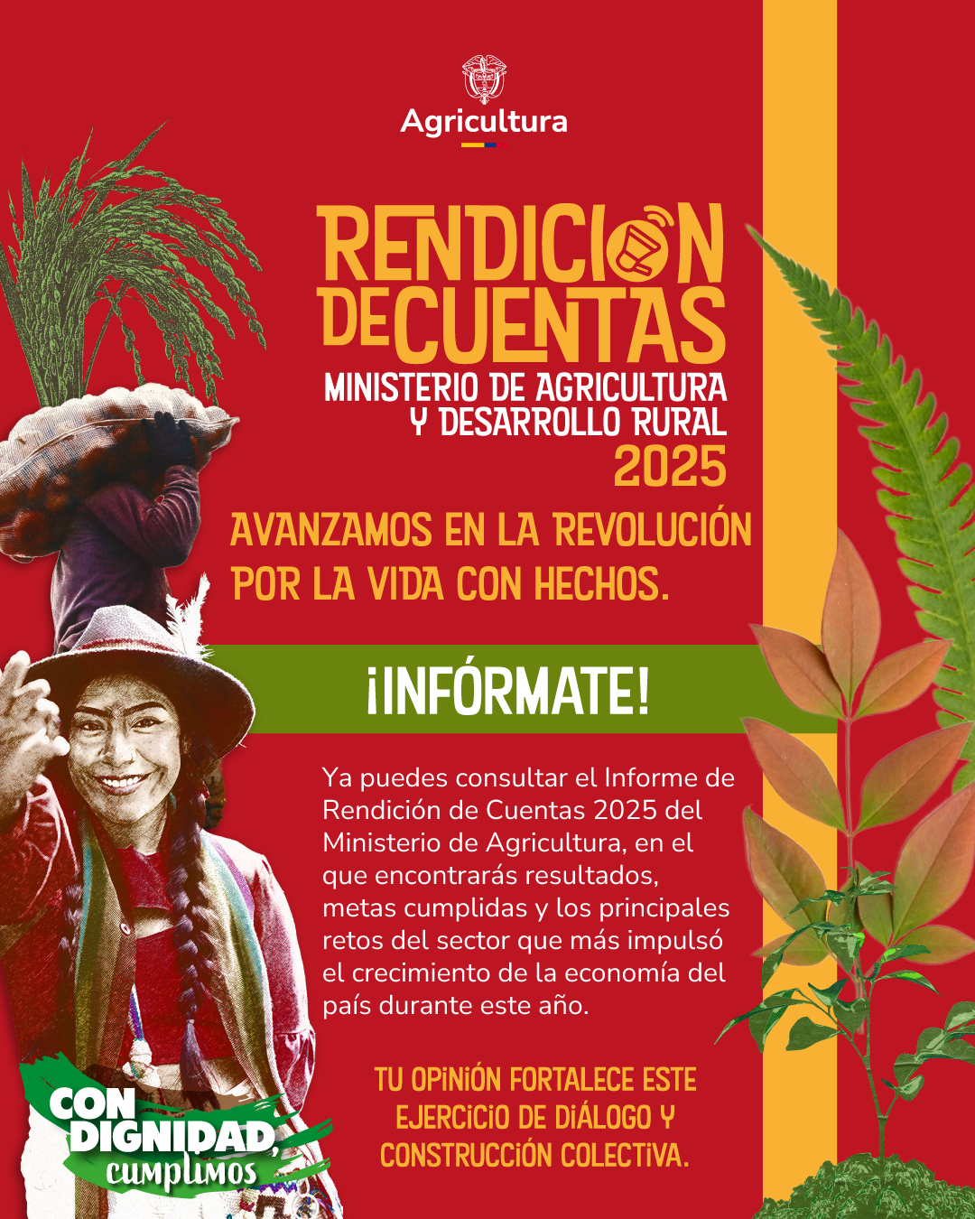 imagen de rendición de cuentas