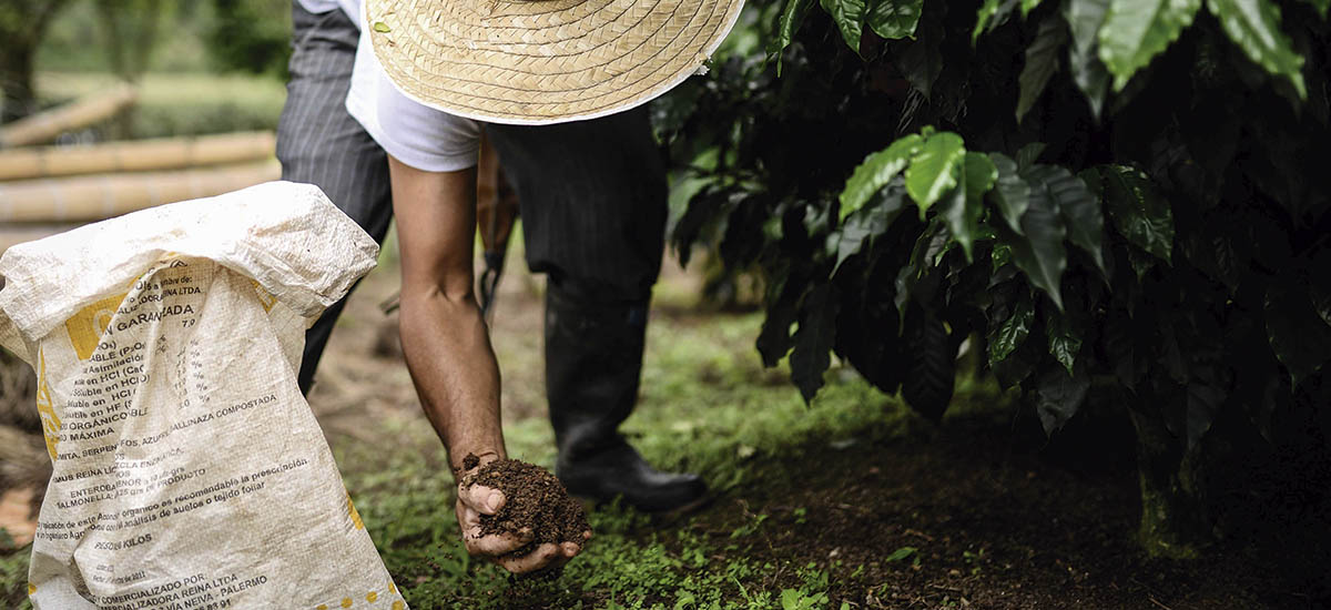 Buena noticia para el sector agropecuario: aprobado el rediferimiento arancelario en insumos importados