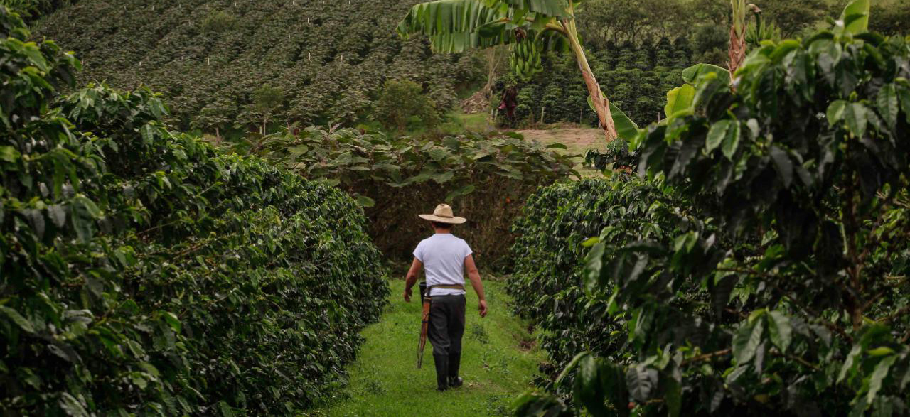 El desempleo en el campo se mantiene a la baja