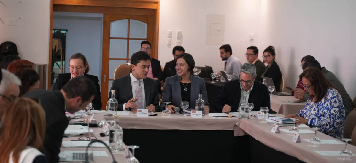 En la imagen se observa la ministra en gabinete