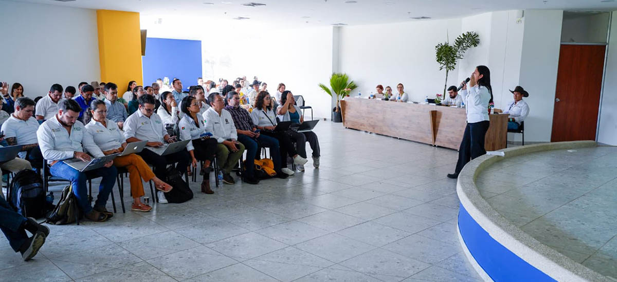 MinAgricultura construye con todos los actores el ordenamiento productivo para la cadena arrocera
