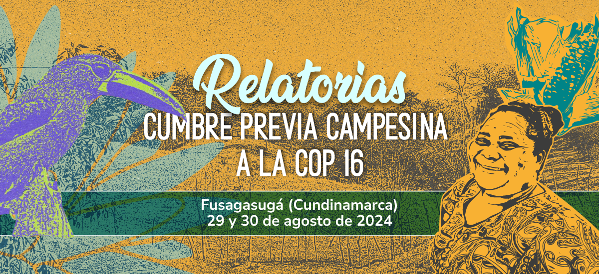 foto cumbre 