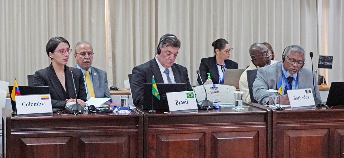 Imagen de la Ministra de Agricultura en el comité ejecutivo del IICA