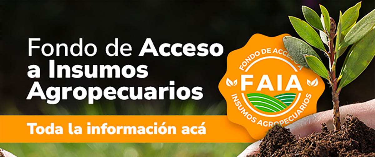 La imagen muestra un gráfico con un texto que dice "Fondo de Acceso a Insumos Agropecuarios" y "Toda la información acá." Esto sugiere que la imagen es probablemente un anuncio o gráfico informativo de un fondo o programa relacionado con insumos agrícolas. Se aprecia el logotipo "FAIA", que podría ser el nombre de la organización o institución asociada al fondo.