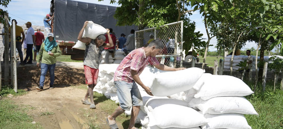 Imagen de productores de Yuca